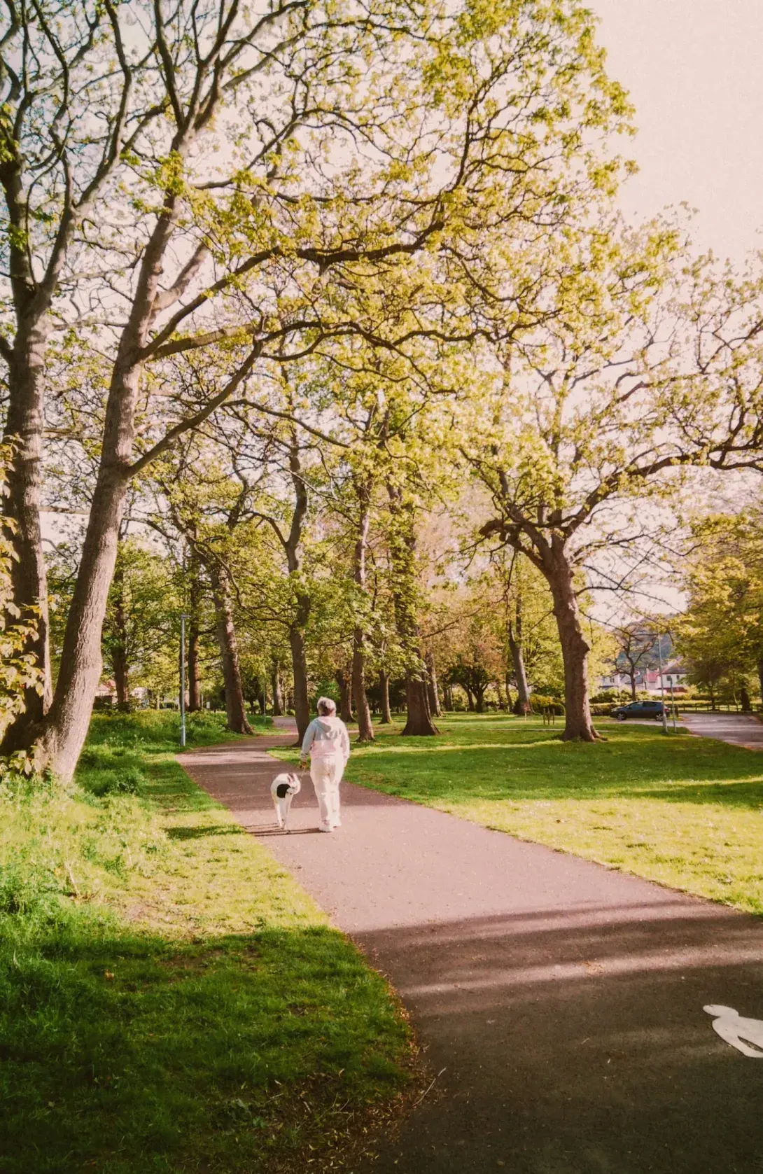 Walk with Dog